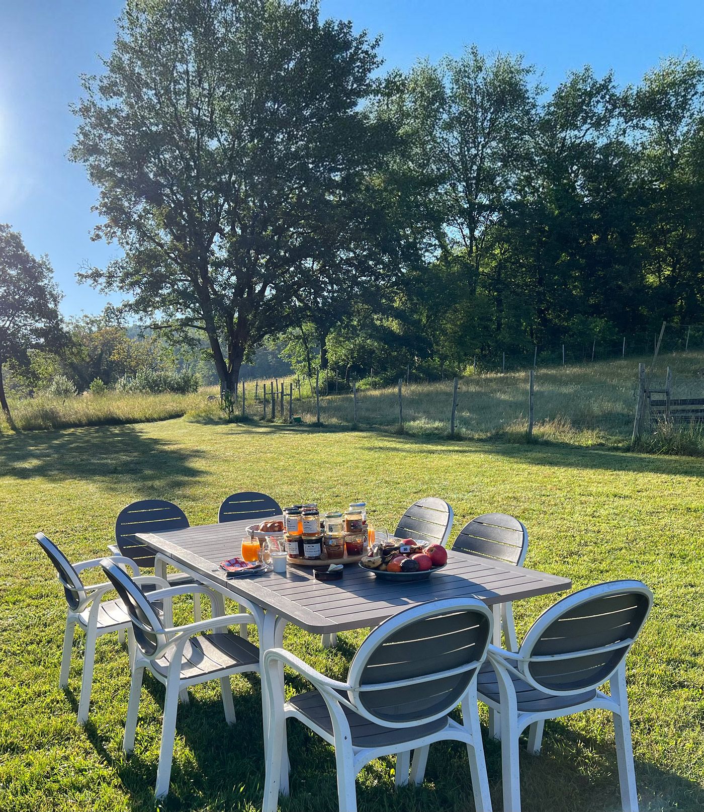 Petit-déjeuner dans le jardin